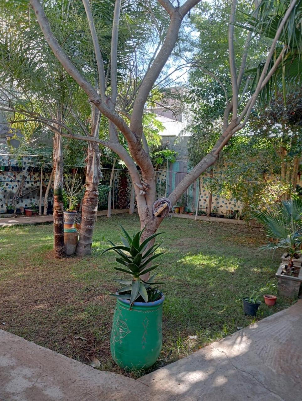 Riad Targante Takate 1 Sidi Bibi Экстерьер фото