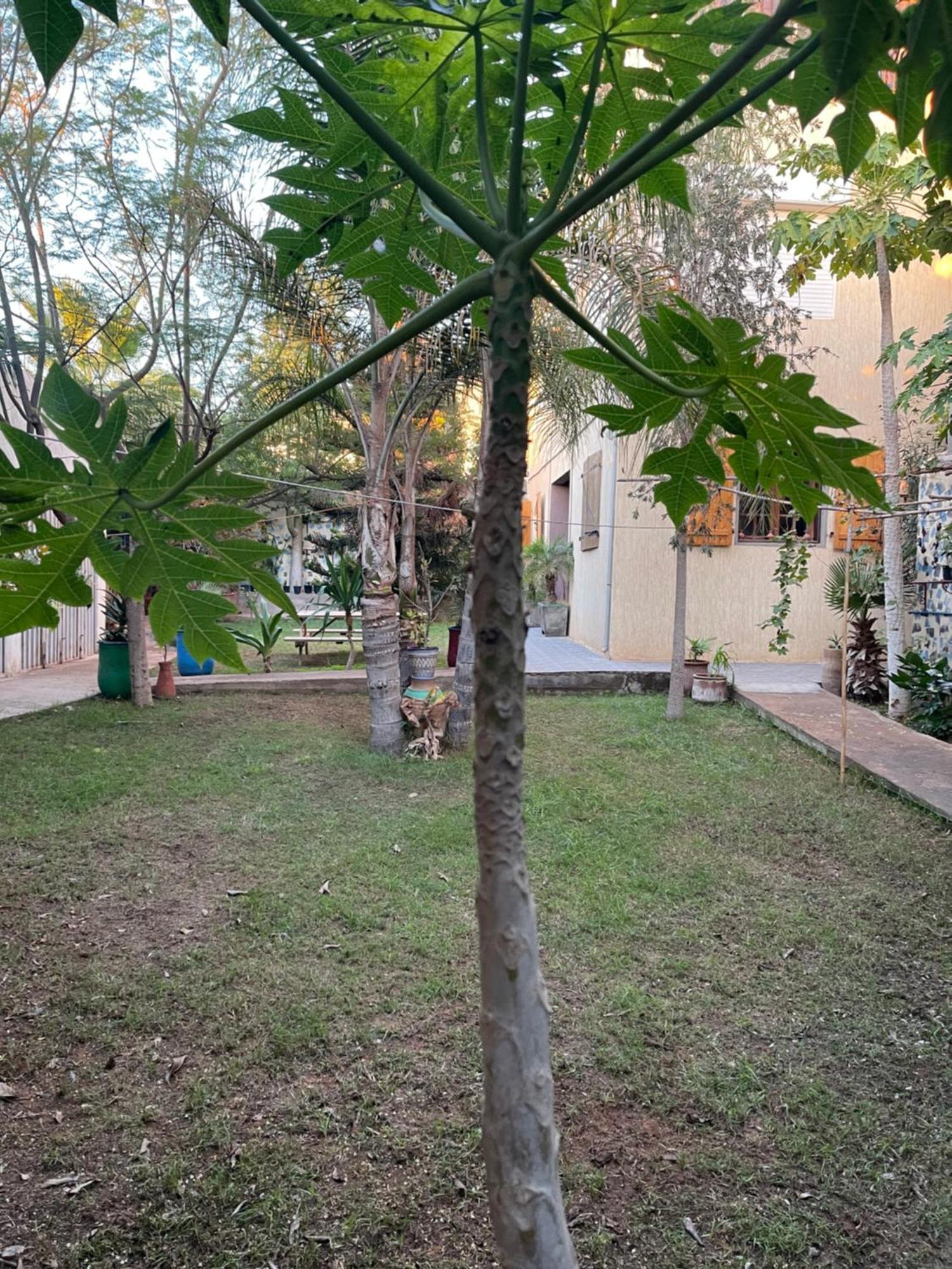 Riad Targante Takate 1 Sidi Bibi Экстерьер фото