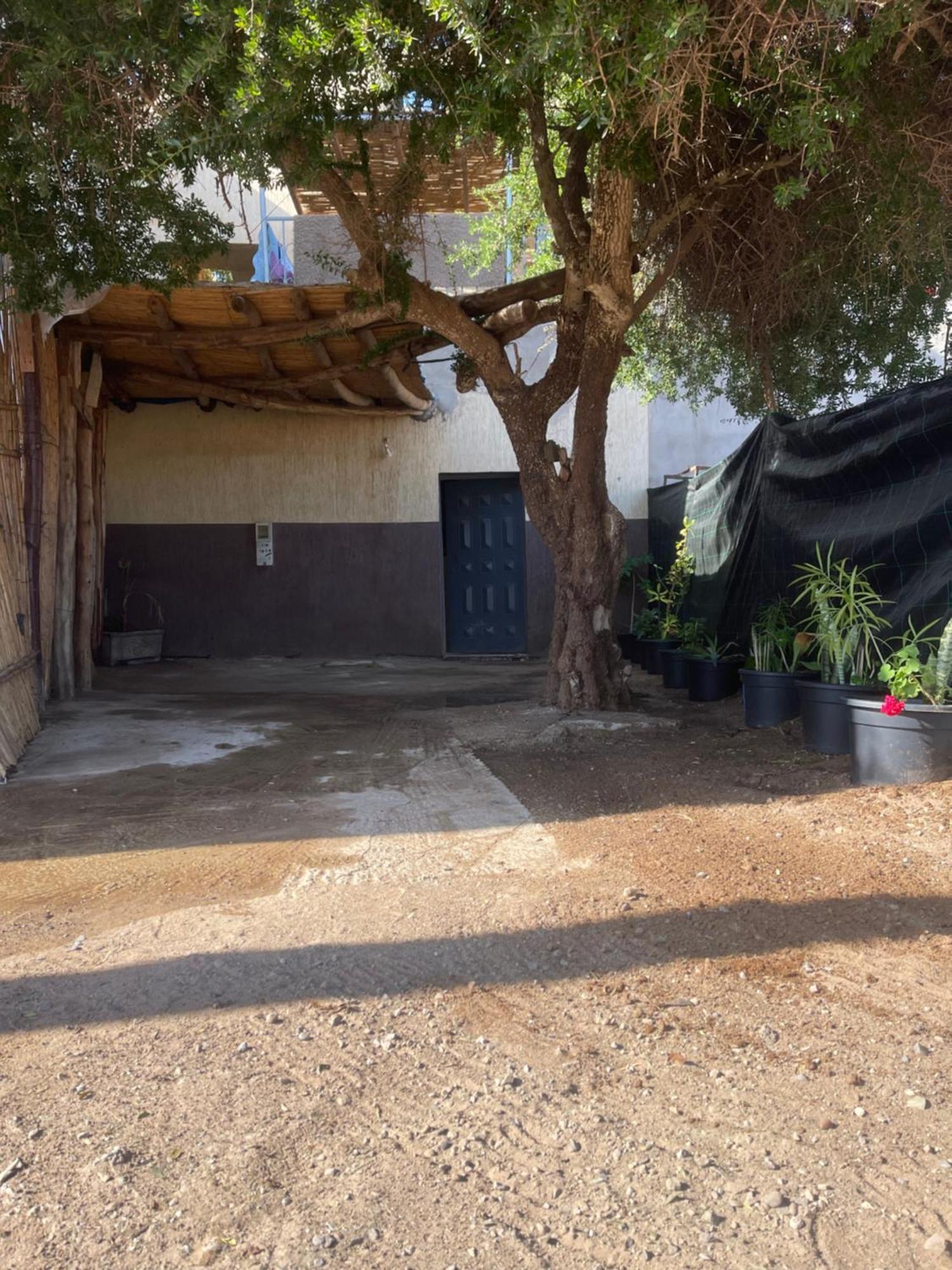 Riad Targante Takate 1 Sidi Bibi Экстерьер фото