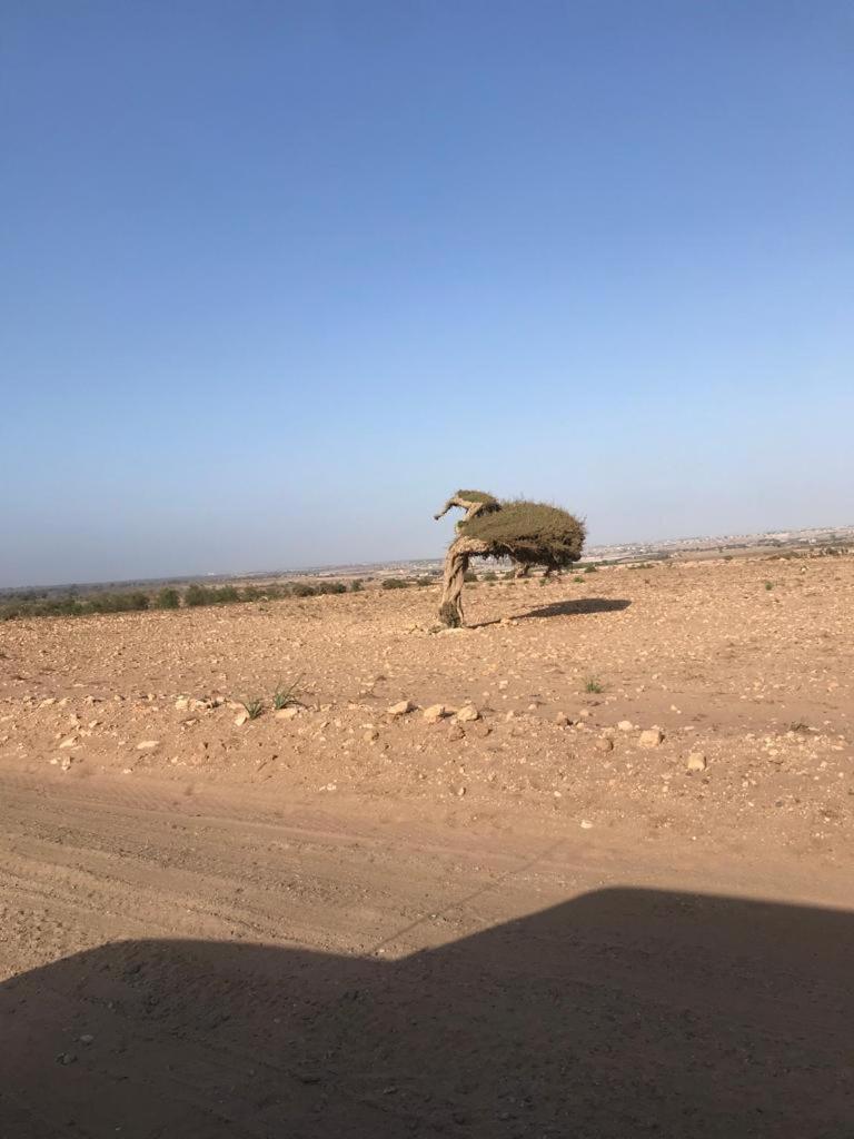Riad Targante Takate 1 Sidi Bibi Экстерьер фото